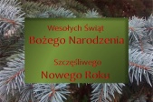 grafika