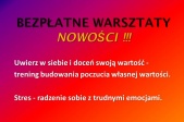 grafika