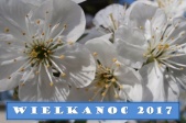 grafika