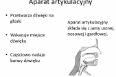 grafika