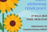 grafika