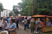 grafika